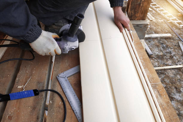 Siding for Commercial Buildings in Susitna North, AK