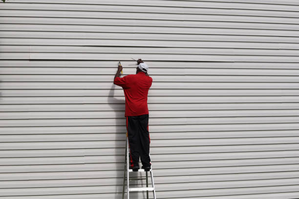 Best Steel Siding Installation  in Susitna North, AK