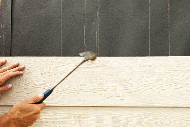 Best Siding for New Construction  in Susitna North, AK